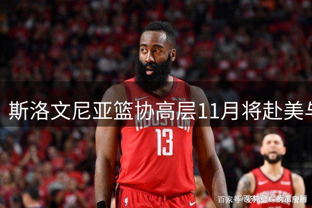 斯洛文尼亚篮协高层11月将赴美与湖人商谈合作事宜