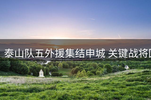 泰山队五外援集结申城 关键战将回归智取三分